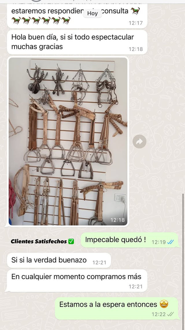Reseña 6
